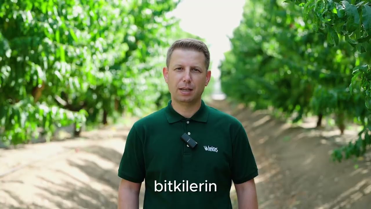 Hayvansal Aminoasitlerin Tarıma Faydaları ve HekAmino ile Organik Çözümler