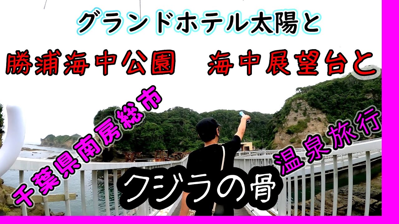（旅行vlog)【千葉県南房総市】グランドホテル太陽とかつうら海中公園＆海中展望台とクジラの骨
