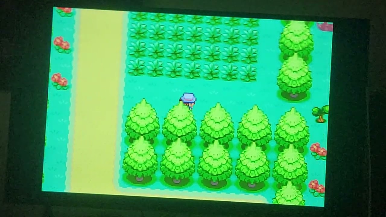 Pokemon leaf green 1st badge 