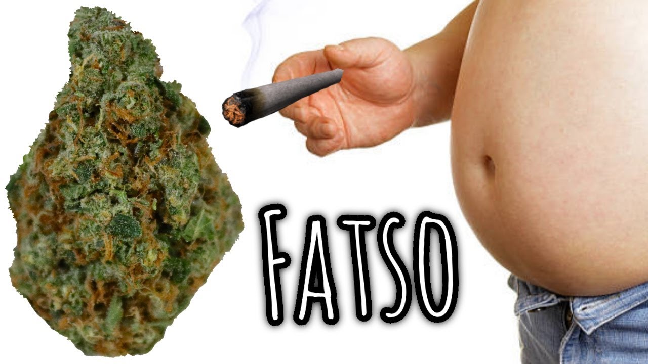 ОФИЦИАЛЬНЫЙ обзор штамма Fatso