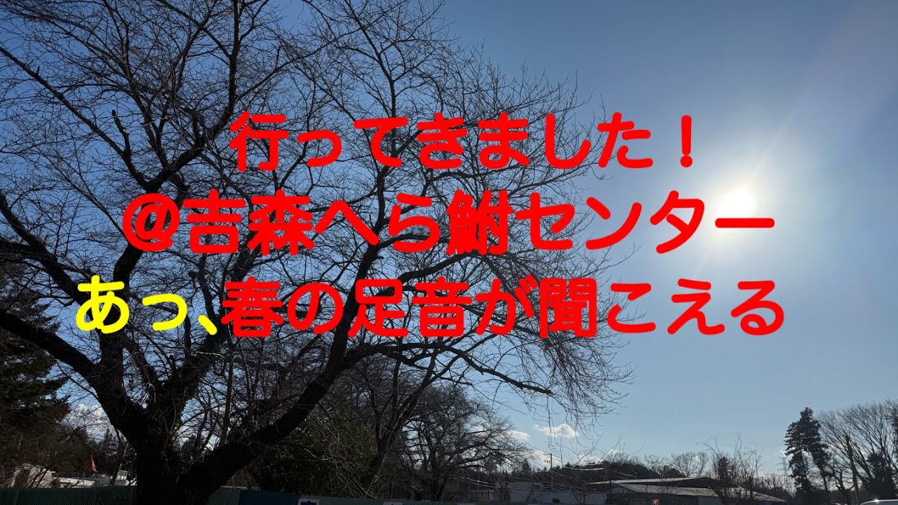 2025/2/19 栃木県小山市の吉森へら鮒センターに初めて行ってきました。2回連続のお凸の私は、果たして釣果を得られるのか？マルキューM-1CUPへら鮒の予選も3月に行われます。