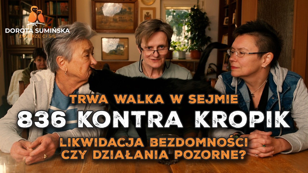 836 konta KROPiK - czyli trwa walka w Sejmie o to, czy zakończy się era bezdomności zwierząt