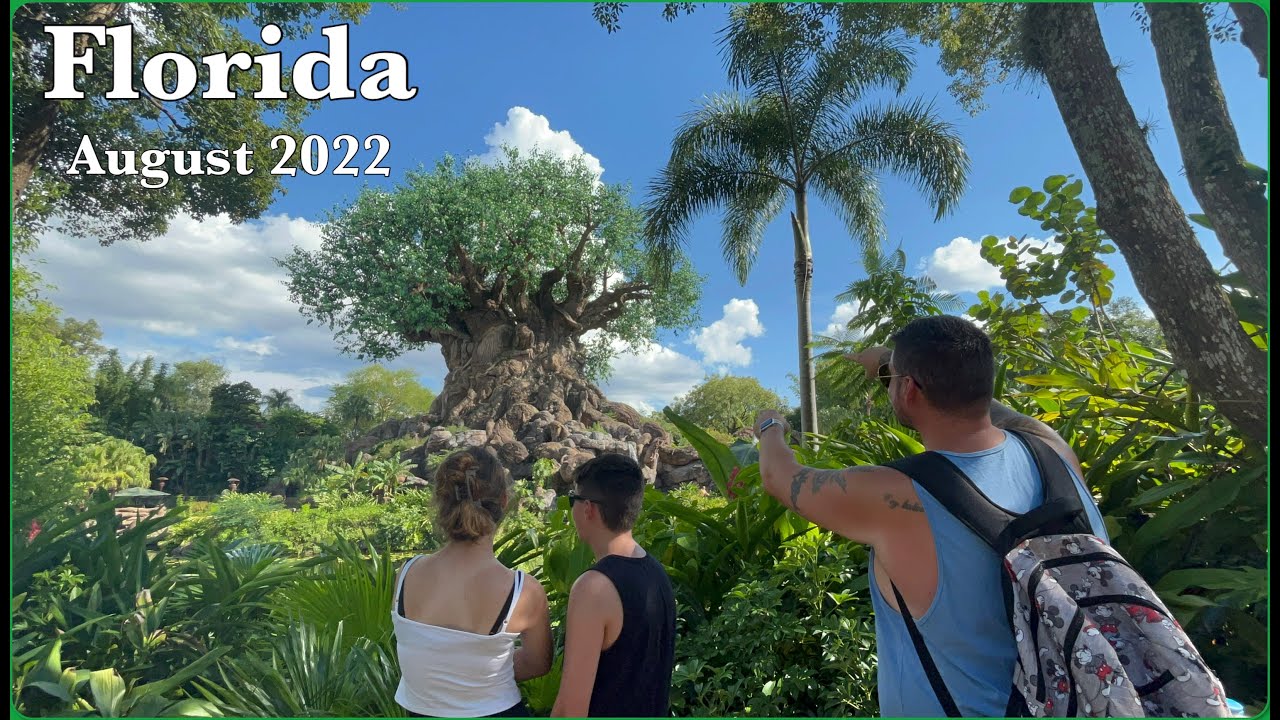 A one day ticket to Animal Kingdom | Part Eleven | Florida Vlogs August 2022