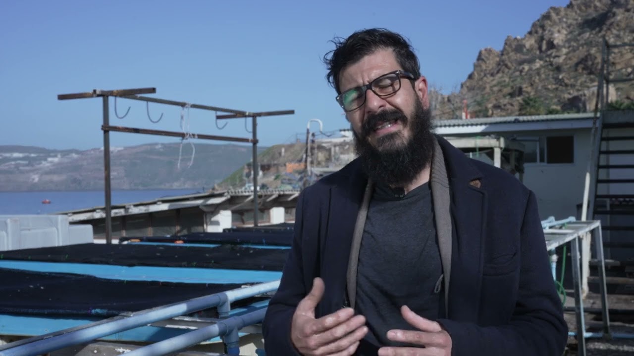 Cultivo multitrófico algas - Proyectos difusión CTCI DITT UCN