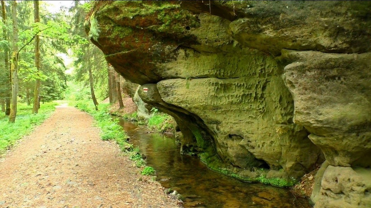Steinerne Rinne und Paulinengrund (alle wichtigen Stellen) / Böhmische Schweiz
