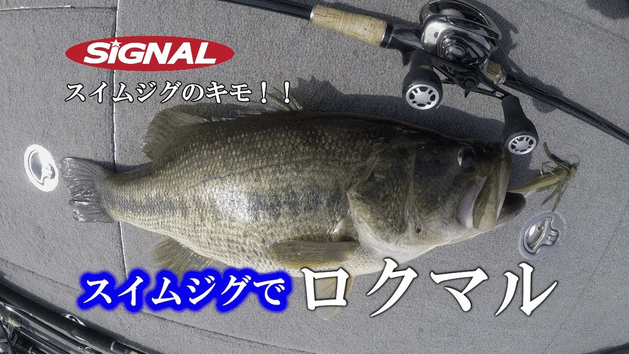 【スイムジグで釣るキモとは】デビルスイマーシャッド４インチスイムジグでバスを釣る方法