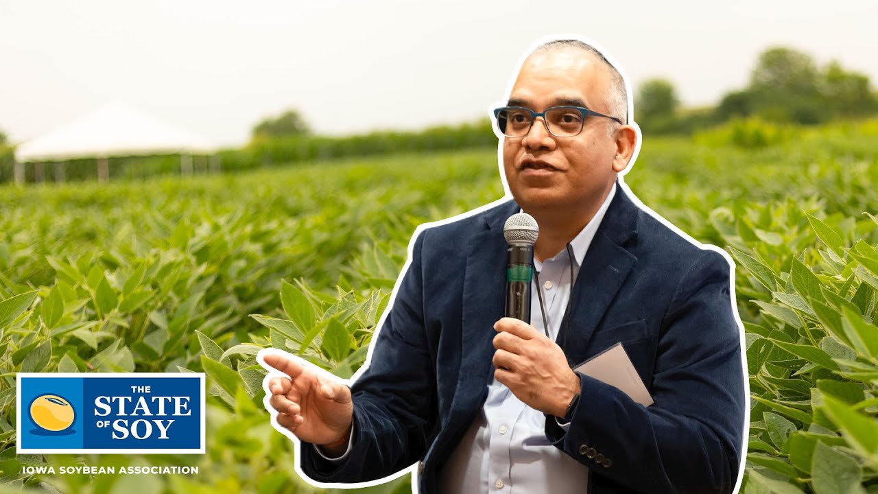 Creating A Better Soybean Through Plant Breeding