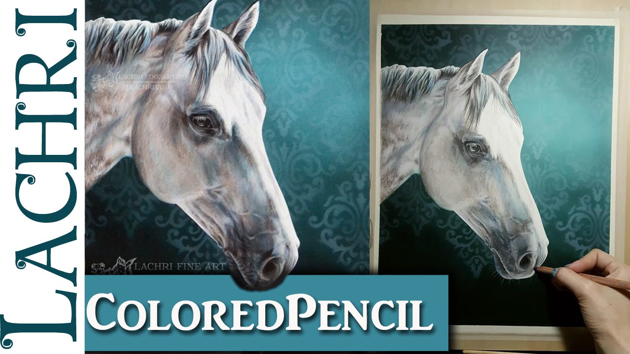 Colored Pencil Demonstration - white horse - Lachri