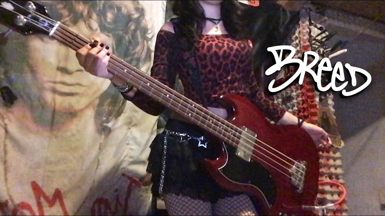 Breed - Nirvana (Bass Cover by fklucy) #nirvana