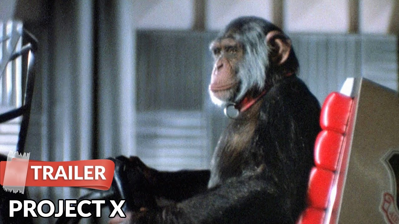 Project X (1987) Trailer | Matthew Broderick | Helen Hunt