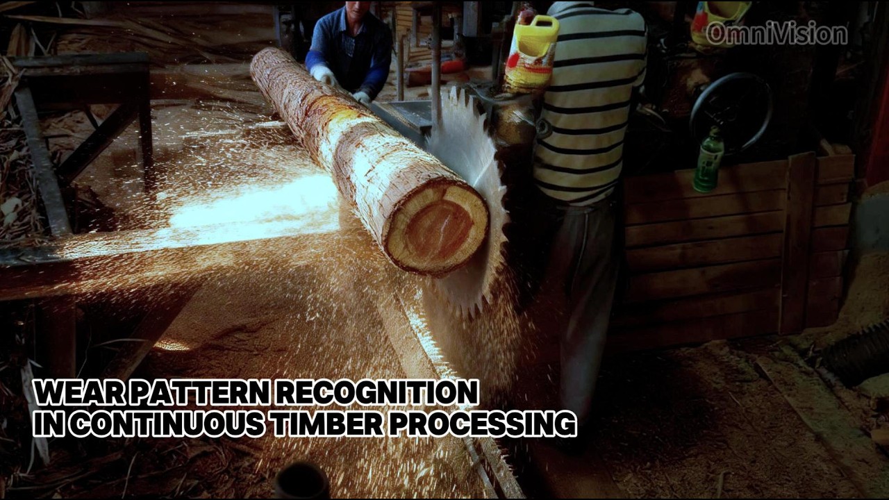 Working hard to get married--Sawing timber
