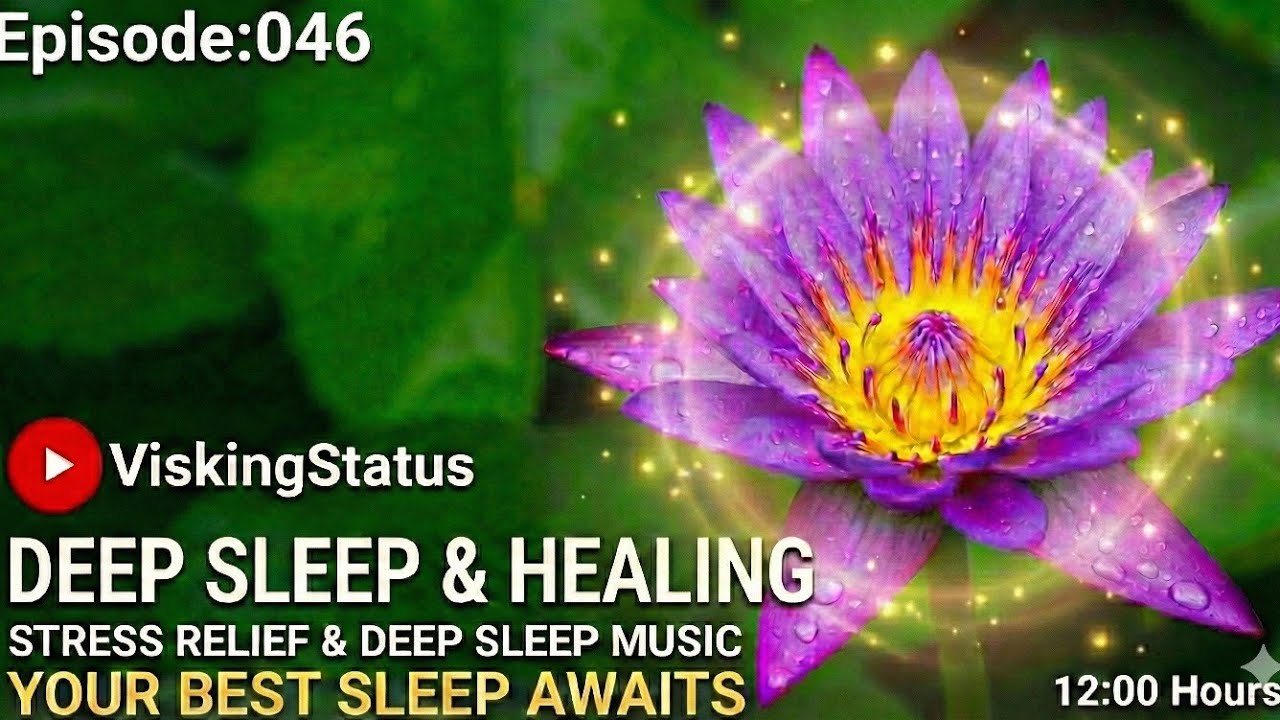 Ep:46?HIGH-DEFINITION nature and music designed to calm your nervous system.soundscapes #slowmotion 