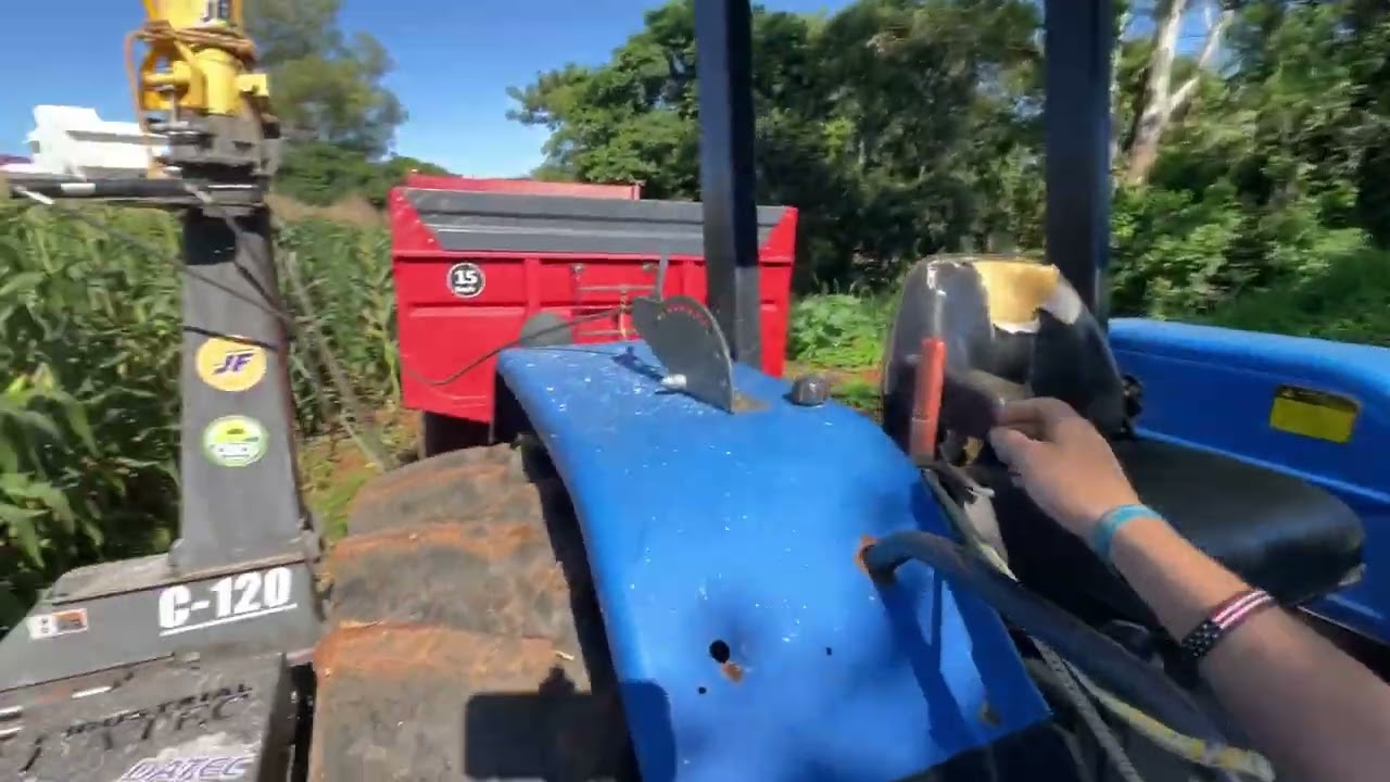 Abrindo os caminhos na roça 