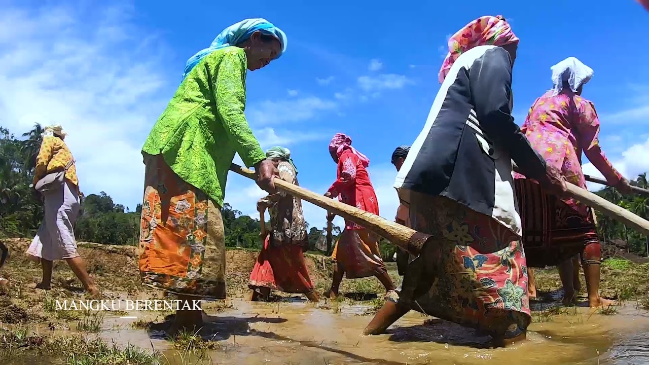PESONA INDONESIA | Wisata Jalur Batang Narso#MangkuBerentak#SimpangNarso#BatangAsai#Sarolangun#Jambi