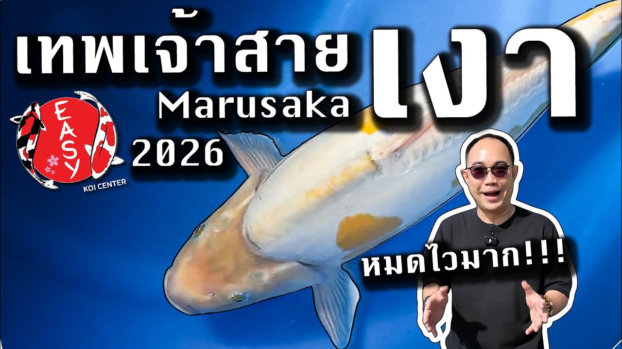 เหลือเชื่อ 😱 