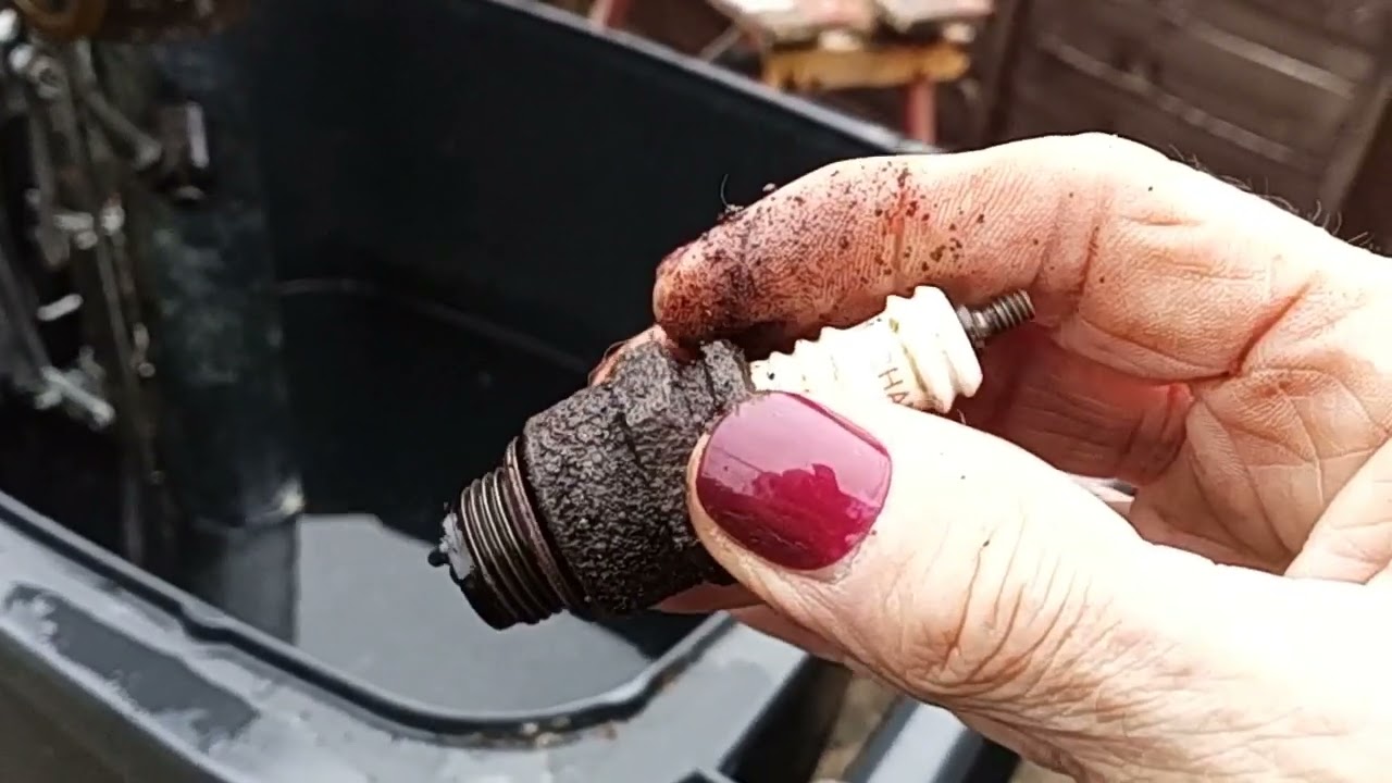 Old Seagull boat engine start after a long time out