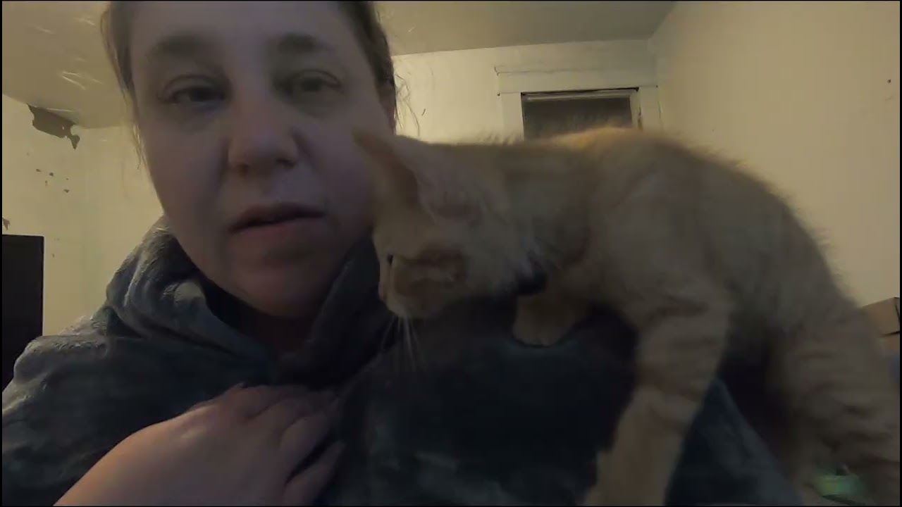 Vlog 963 l LOOK AT THE BABIES l also not dead just life hit hard