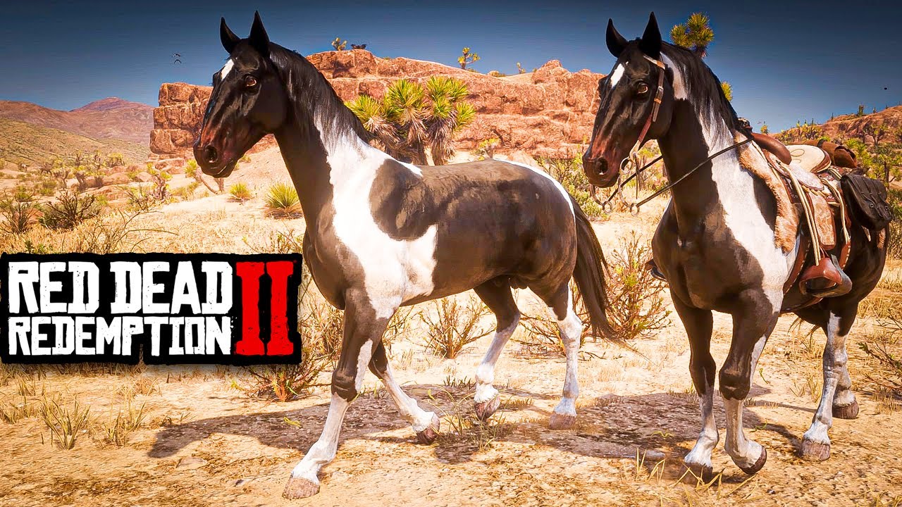 GUERREANDO POR 2 CAVALOS: MESTIÇO HÚNGARO TOBIANO PIEBALD - RED DEAD REDEMPTION 2