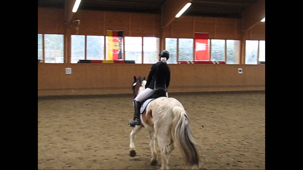 Hausturnier Teichhof Ahrensfelde E-Dressur 29.3.2015