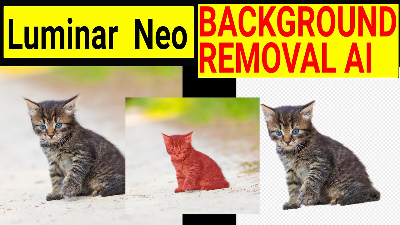 Luminar Neo. Background Removal Ai extension review