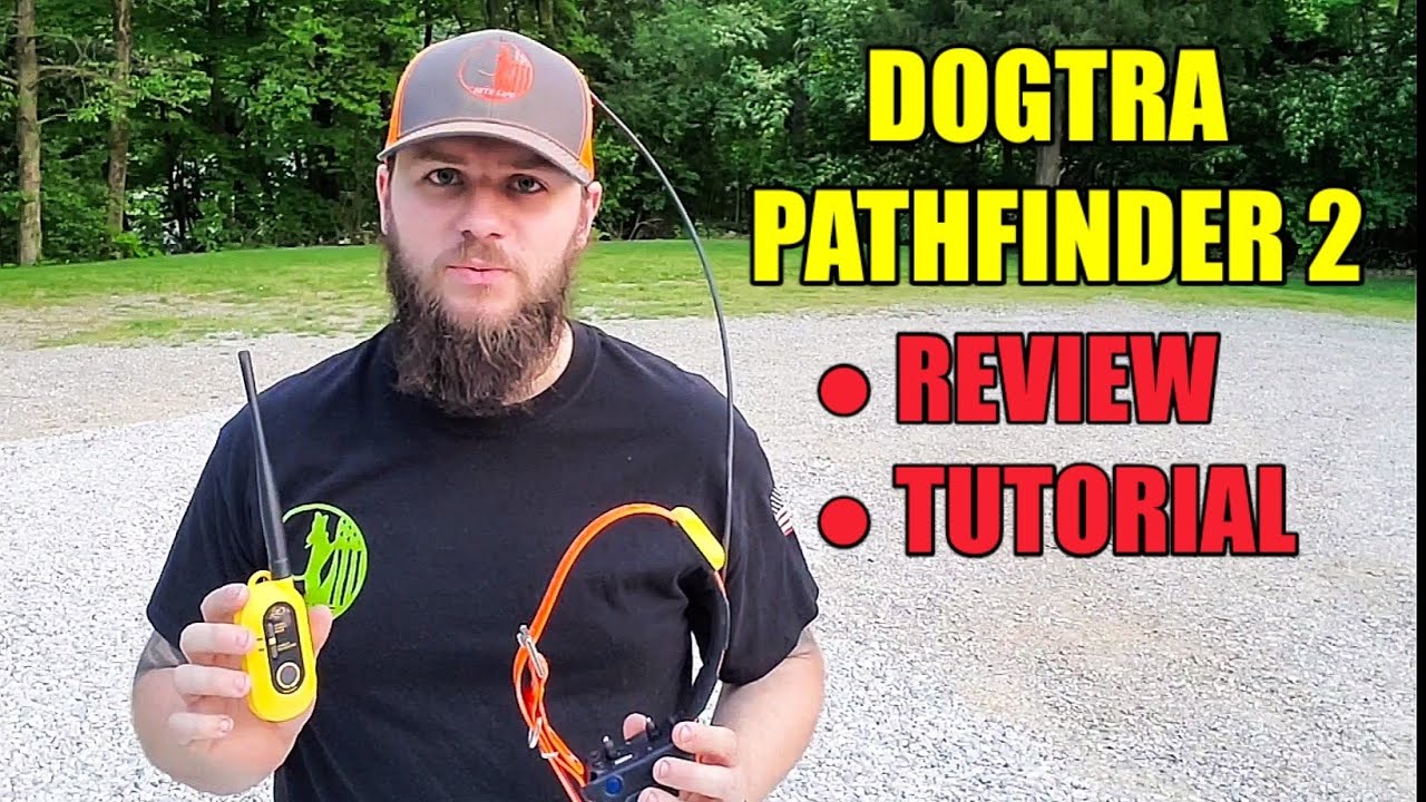 Dogtra Pathfinder 2. Подробный обзор и руководство!
