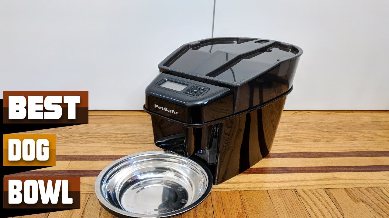 Dog Bowls: Best Selling Dog Bowls on Amazon