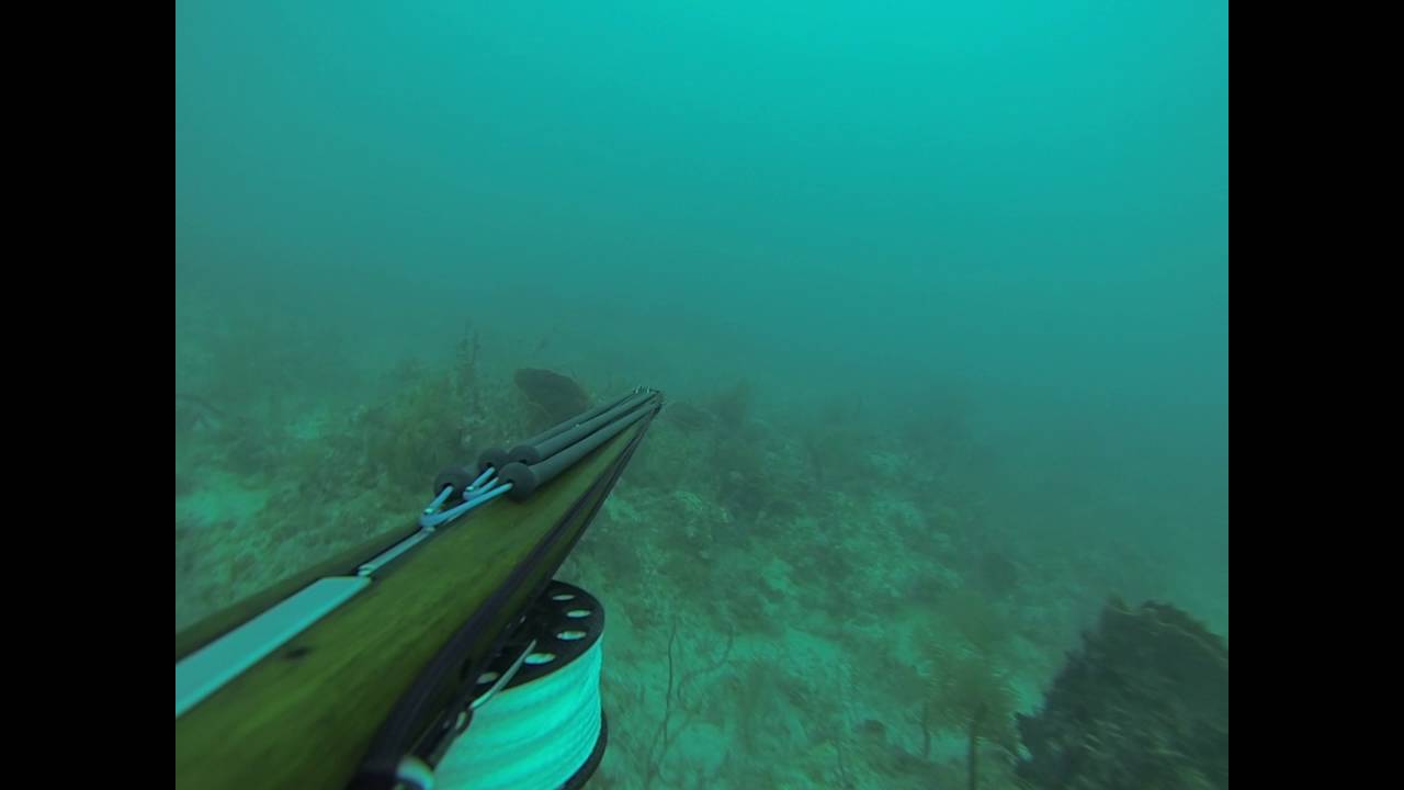 Testing Andre Reef Roller 125