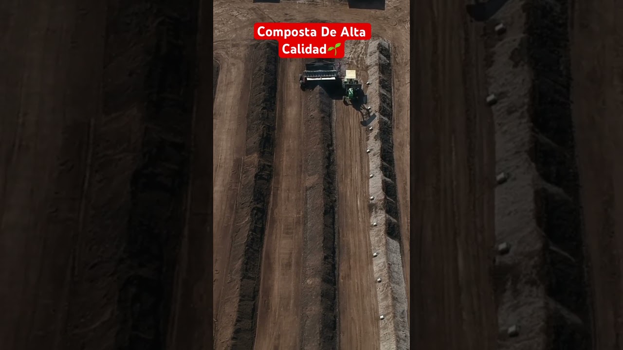 Esta mujer produce toneladas de composta de excelente calidad. #short #shorts #compost #composta