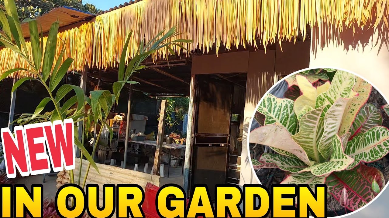 NEW IN OUR GARDEN.. #plants #garden #vlog #plantselling #youtube