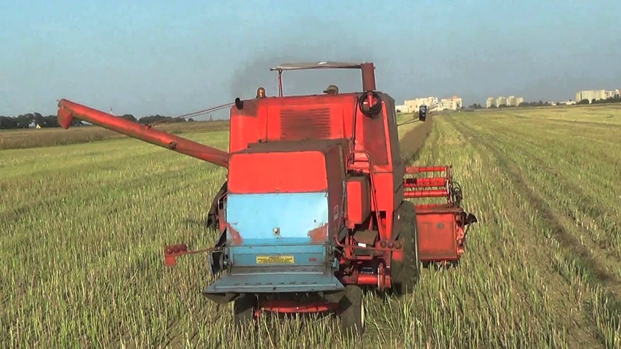 Bizony 1988 i 1987 w rzepaku