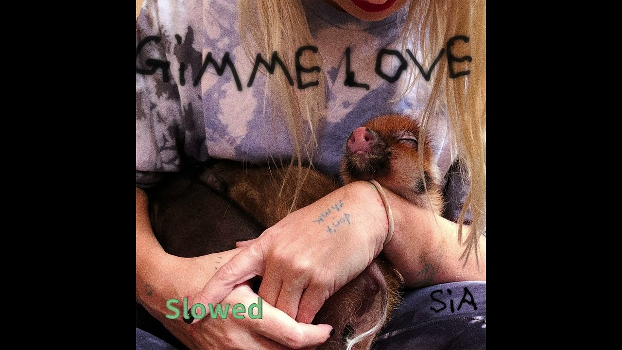 Sia - Gimme Love (Slowed)