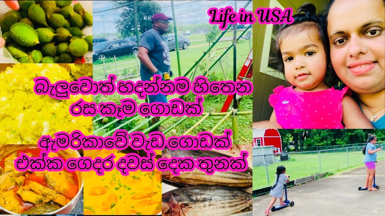 American Village Beautiful Family Life 🥰අම්මෝ රස කෑම ගොඩක් කාලෙකින්  | Sri Lankan food|Life in USA🇺🇸
