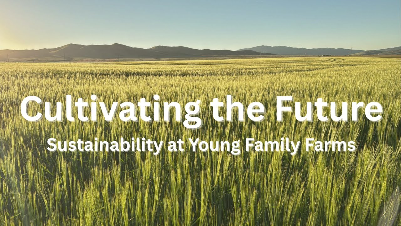 Cultivating the Future: Sustainability at Young Family Farms