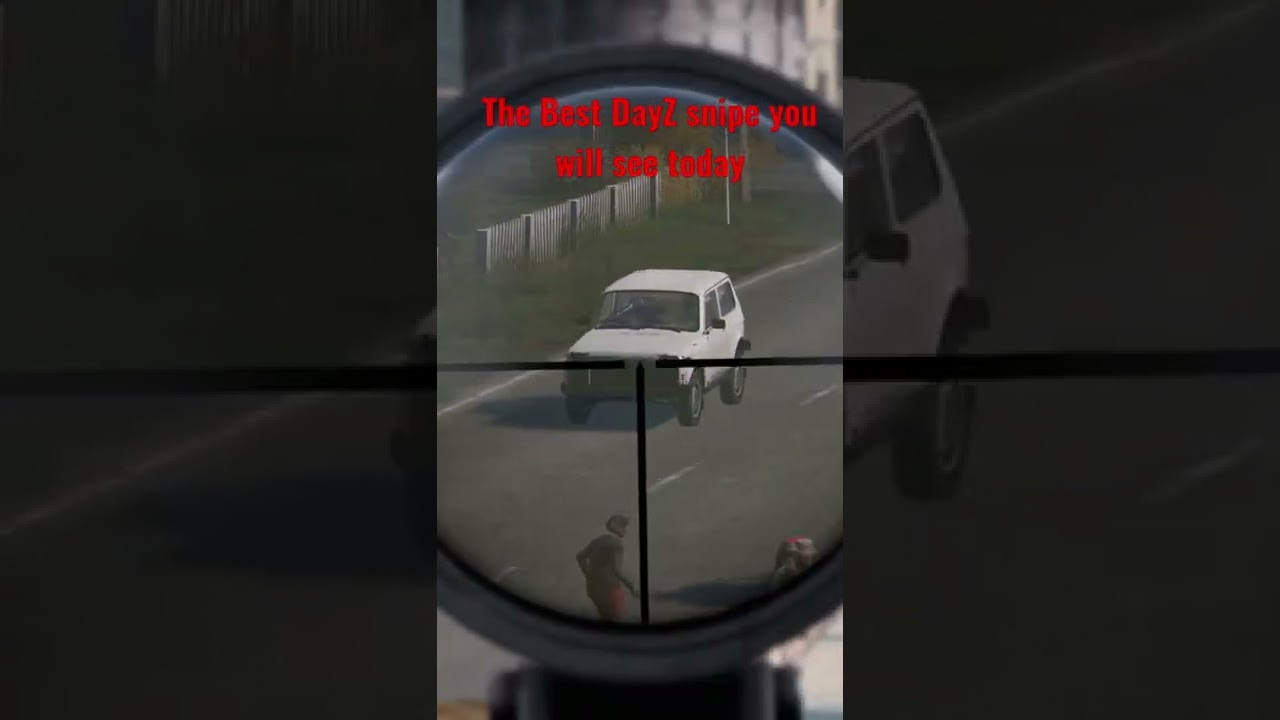 DayZ - the best snipe you will see today - Mosin