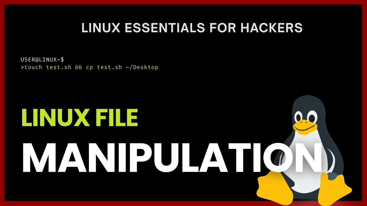 Linux Essentials Tutorial #3 | File Manipulation