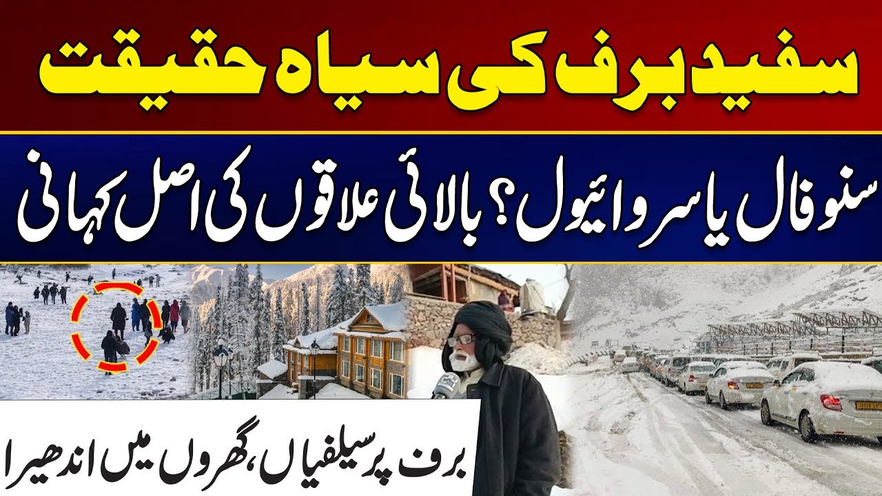The Dark Truth of White Snow | The True Story of The Highlands | City 41