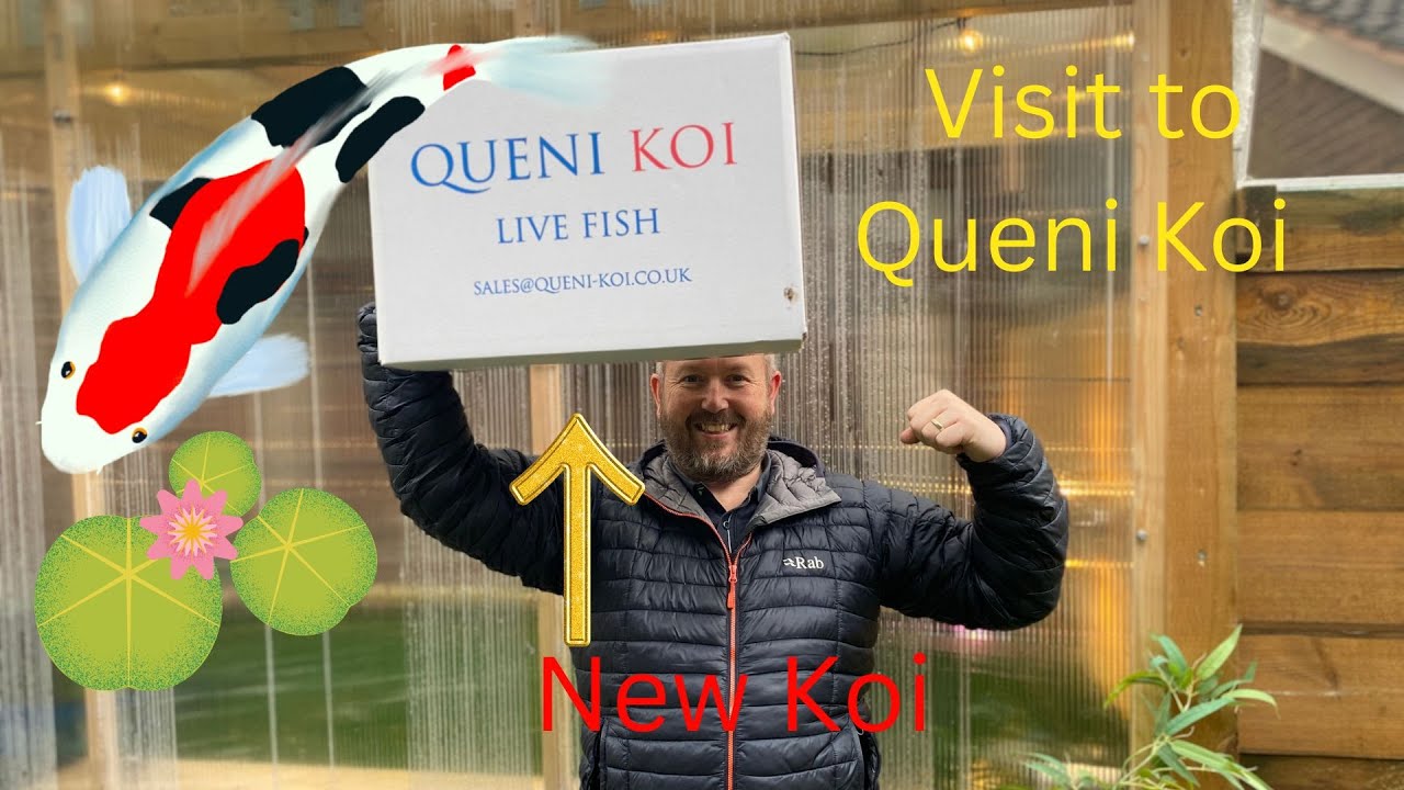 Queni koi Visit 2023