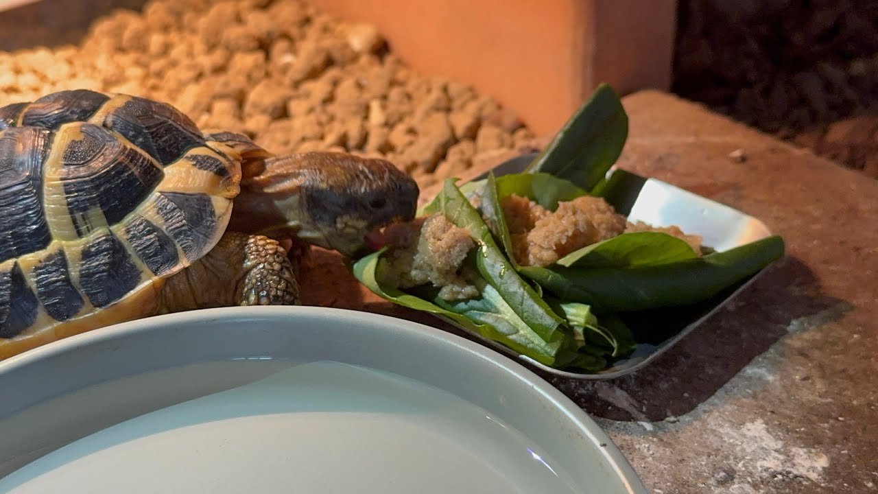 温浴の後はいっぱい食べるな康夫さん