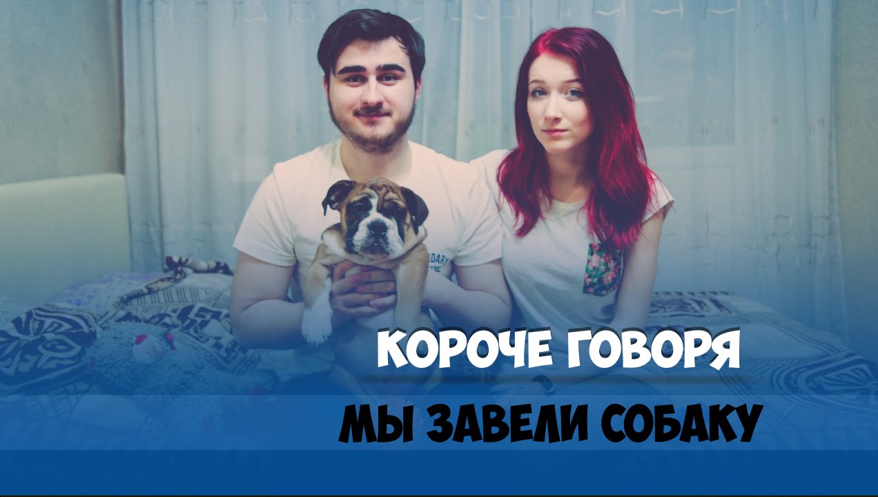 КОРОЧЕ ГОВОРЯ, ПЕРВЫЙ РАЗ ЗАВЕЛИ СОБАКУ