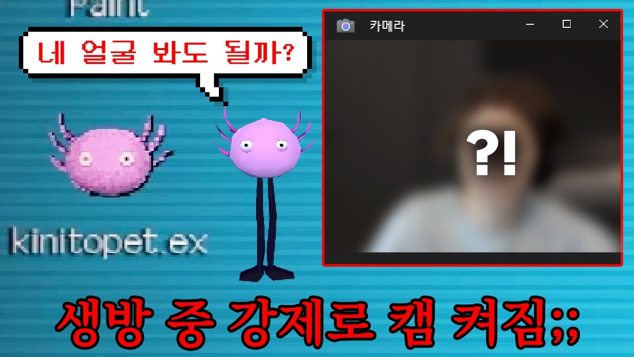 생방송 중 강제로 '얼굴 공개'하게 하는 공포게임 [키니토펫]