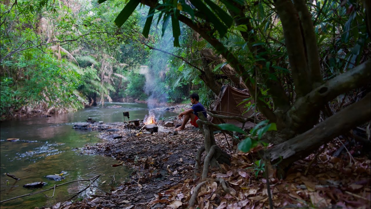 Solo camping and cooking in forest មួយយប់មួយថ្ងៃម្នាក់ឯងរកត្រីរកពស់