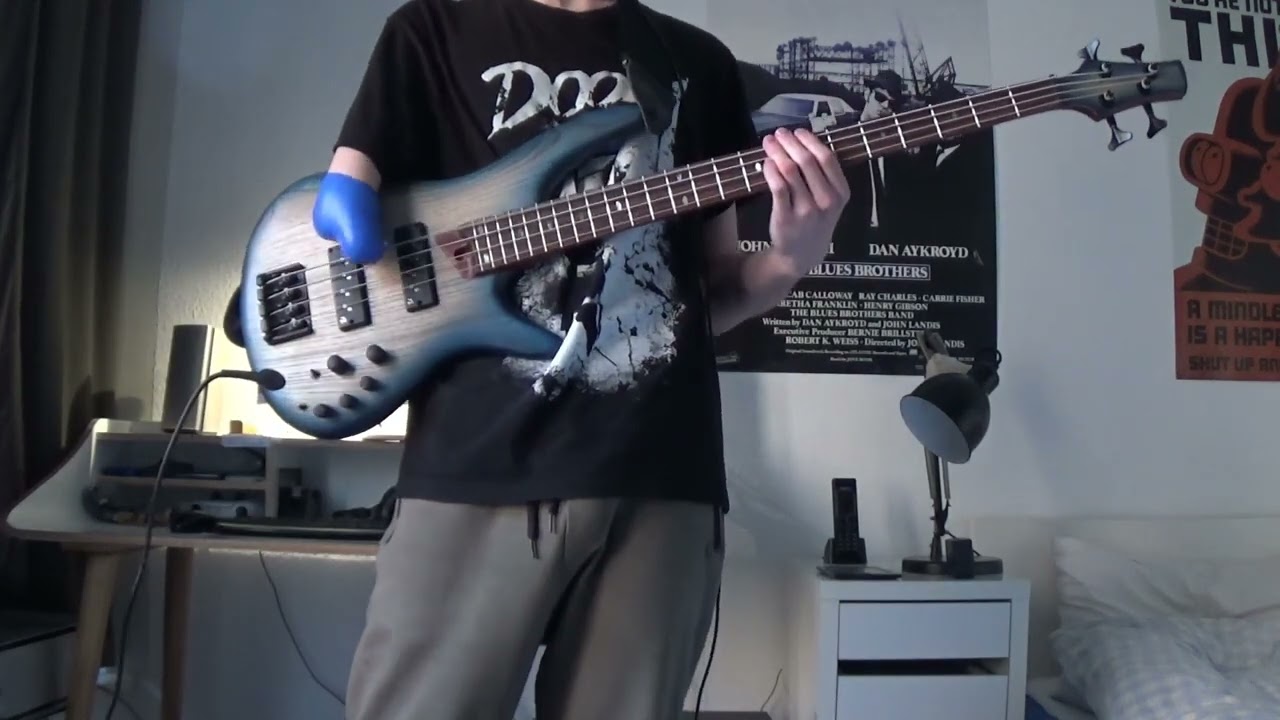 Disharmonic Orchestra - Stuck in Something - Bass Cover