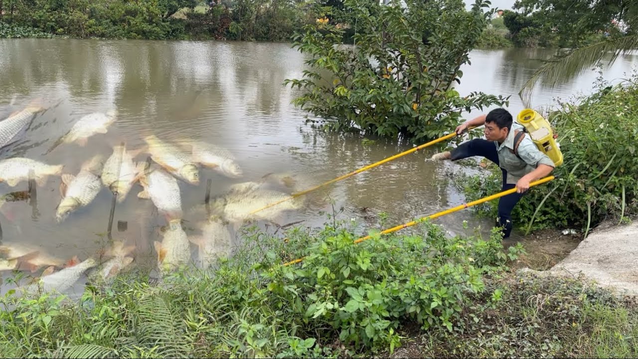 A Unique Master Fishing Technique That Catches Tons of Fish on the River