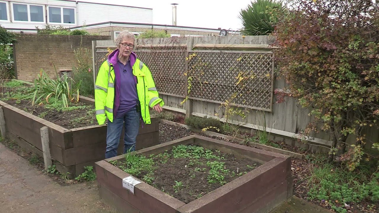 Colnbrook Autumn update with Sarah
