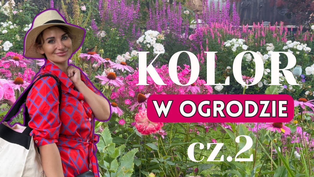 RABATY JAK Z BAJKI - CZYLI KOLOR W OGRODZIE cz.2