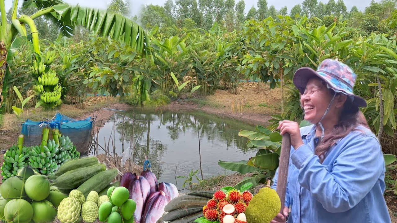 เนรมิตรทุ่งนา มาทำสวนผสมผสาน ปลูกทุกอย่างที่เป็นอาหาร สร้างความมั่นคงตลอดไป