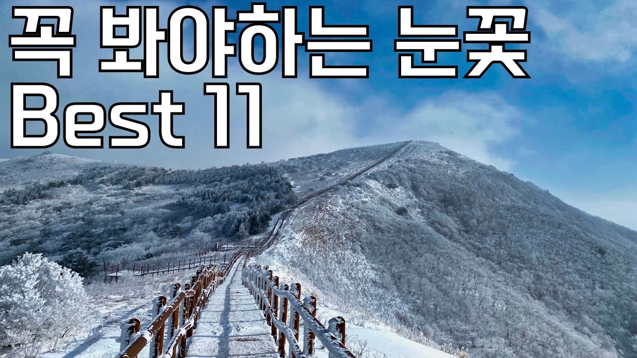 가장 아름다웠던 설경 Best 11 | 설산 및 눈꽃 추천