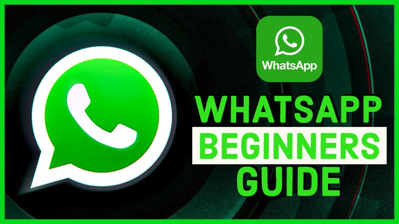 Как пользоваться WhatsApp на iPhone для начинающих в 2024 году? Обучающие материалы по WhatsApp