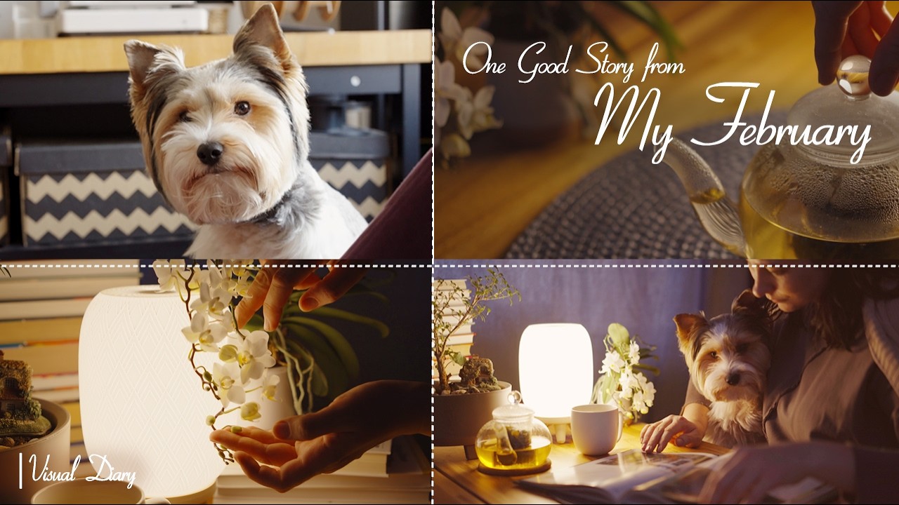 One Good Story from My February | DIY Lamp, 3D Printing, 30-Day Challenge, Slow Living & Motivation.