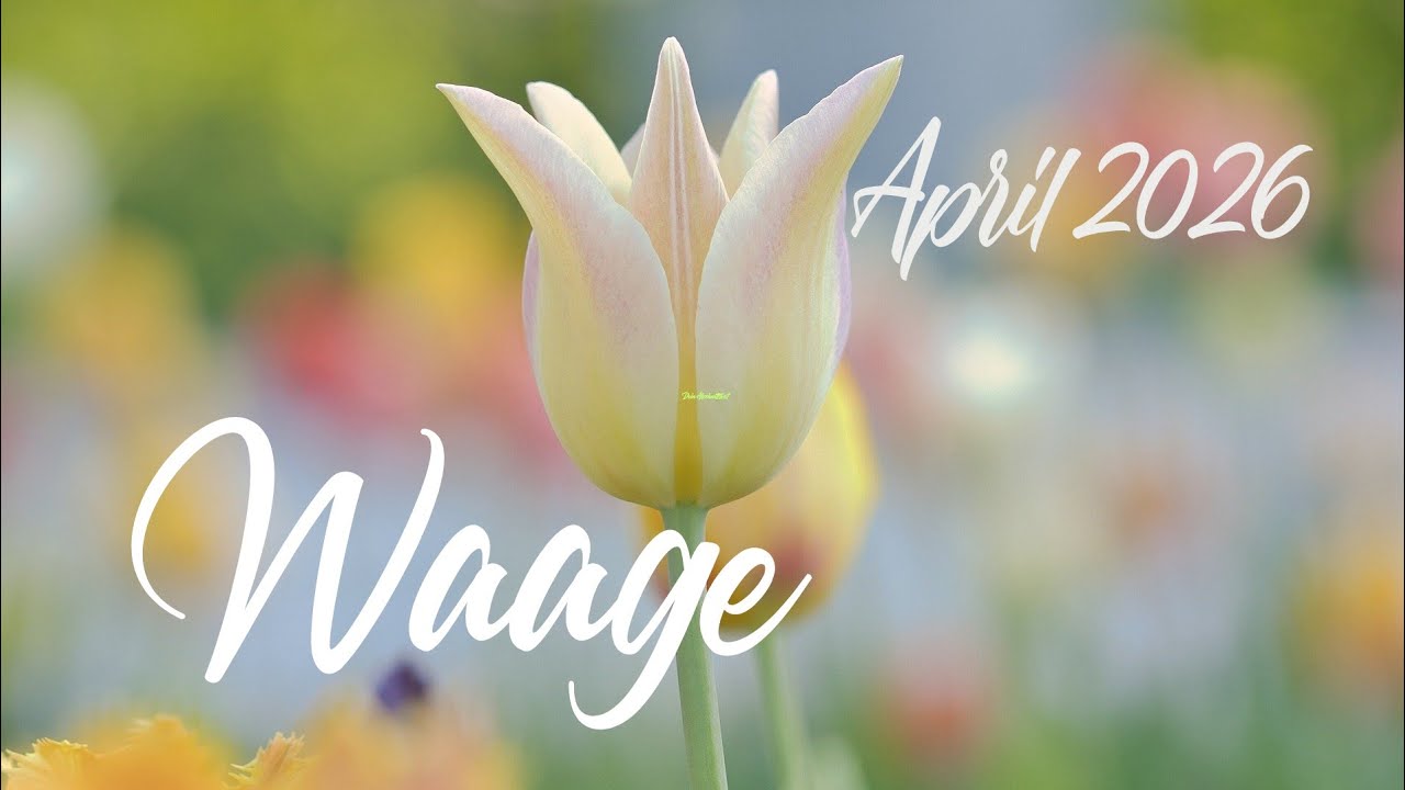 💫WAAGE - April 2026 💌